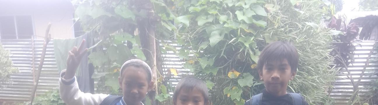 Jane Canoy